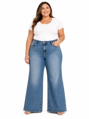 Anthropologie Pilcro Plus Size High-Rise Wide-Leg Womens Jeans - Light Blue